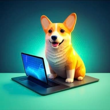 CoderCorgi